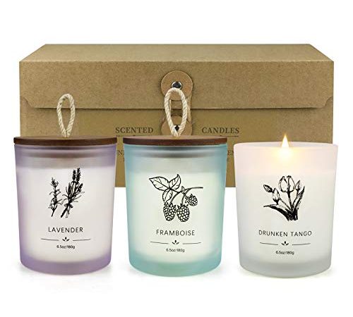 Bougie Parfumées, Lot de 3 Bougie Parfumées Cadeau Pour Femme, 180g /6,5oz Durée de combustion 35-40 heures, Grand Pot de Bougies Parfumées à la lavande, Bougie Cadeau Pour Fête des Mères, Noël