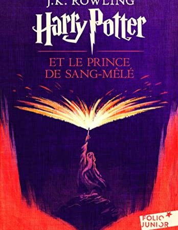 Harry Potter, VI : Harry Potter et le Prince de Sang-Mêlé