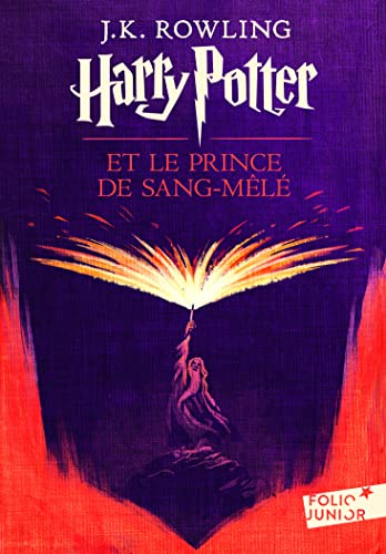 Meilleur livre harry potter en 2022 [Basé sur 50 avis d’experts]