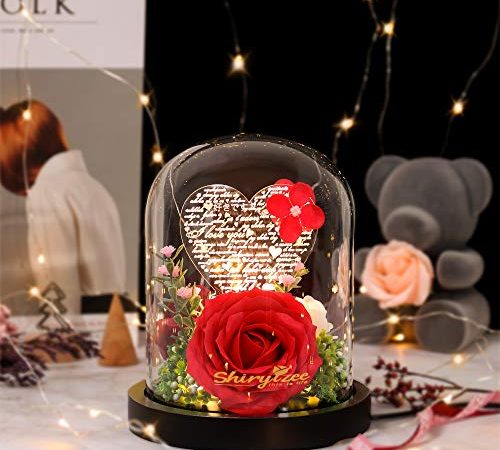 shirylzee Fleur Éternelles de Rose, Rose sous Cloche en Verre 100 Langues je taime Lampe Rose Fleurs Artificielles avec Lumière LED et Carte de Voeux, Cadeau de Fête des Mères Saint-Valentin, Rouge