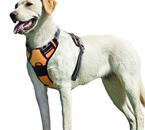 Eagloo Harnais Chien L, Harnais Anti Traction pour Chien, Facile à Mettre, sans Poignée Contrôle, Arnet pour Chien Réfléchissant, Respirant, Durable, Harnais pour Chien, Moyen et Grand, Orange…