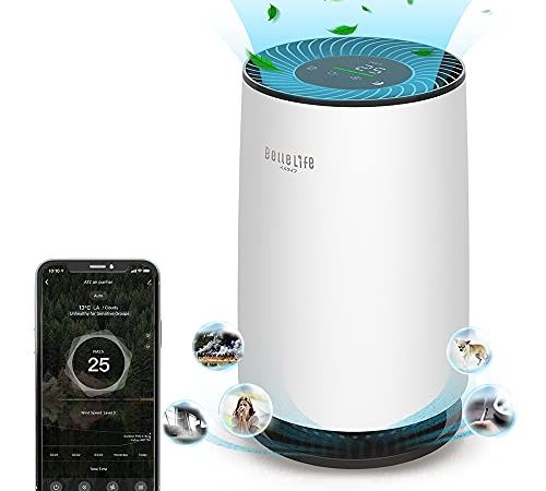 Purificateur d'air BelleLife avec Désinfection HEPA 13 et UV, Filtre à air avec Nettoyage Plasma Actif, Mode Veille Silencieux, Purificateur d'air avec Minuterie, 3 niveaux de Ventilateur