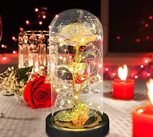 E-MANIS Rose Eternelle,La Belle et la Bête Rose Eternelle sous Cloche Enchanted Rose Élégant Dôme en Verre avec Lumières LED Fleurs Éternelles Cadeau pour Saint Valentin Fête des Mères Noël