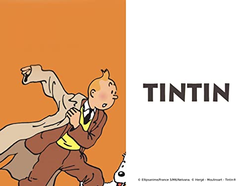 30 Meilleur tintin en 2023 [Basé sur 50 avis d’experts]