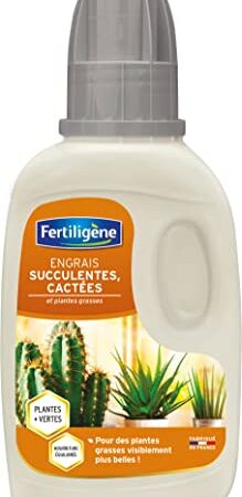 Fertiligène Engrais Cactus et Succulentes, 250 ML
