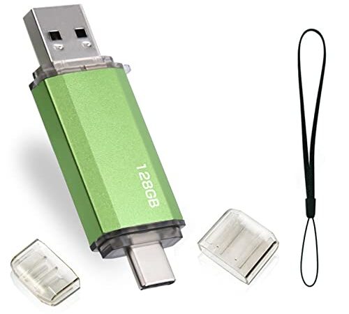 Clé USB 128 Go 2 en 1 USB C Flash Drive 128 Go OTG Type C USB 2.0 Type C Memory Stick 128 GB pour Huawei Xiaomi Oneplus OTG Android Appareils TéLévision (Vert)
